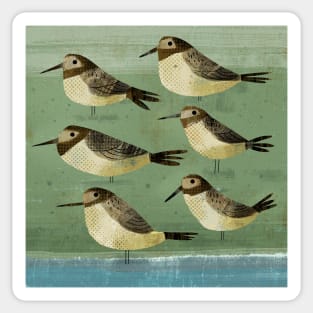 Sea Birds Sticker